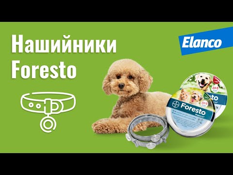 Ошейник Elanco (Bayer) Foresto против блох и клещей для кошек и собак, 38 см video
