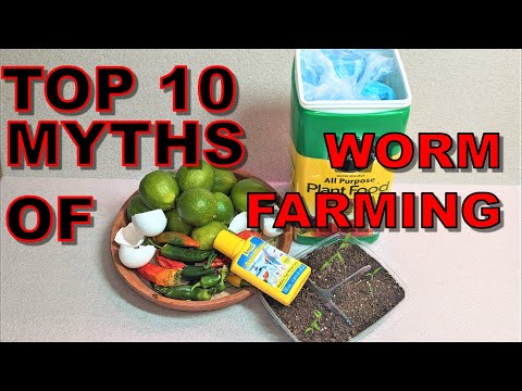 Top 10 Myths and Truths of Worm Farming- ENC Bin Feeding