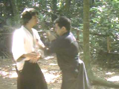 Martial Arts Training - Koryu Budo