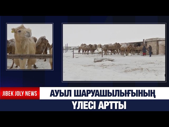Ауыл шаруашылық өнімі 38 млрд теңгеге жетті
