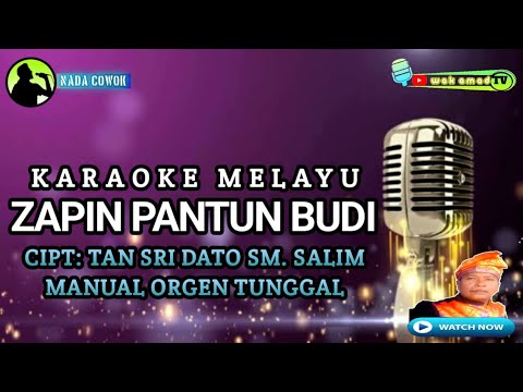 ZAPIN PANTUN BUDI | KARAOKE MELAYU | SM. SALIM | NADA PRIA | wak amad tv