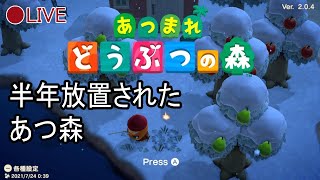 【🔴生配信】半年ぶりのあつ森【あつまれどうぶつの森】