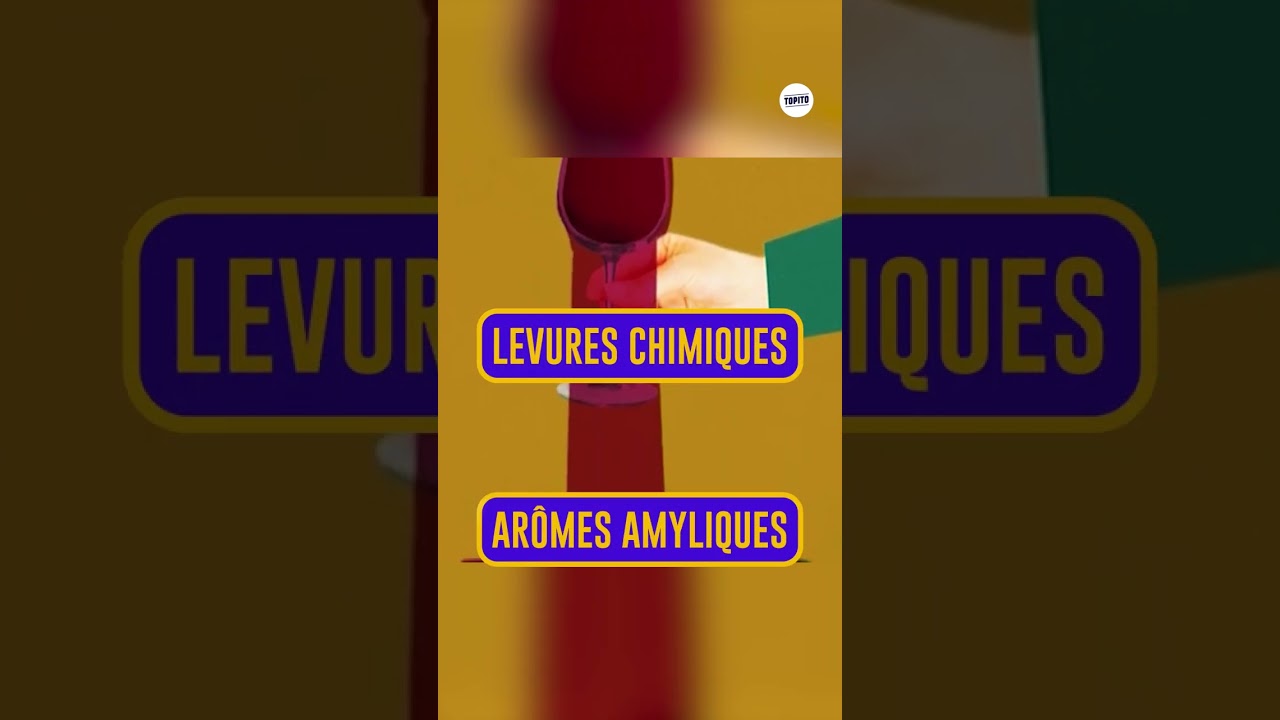 Pourquoi le Beaujolais nouveau a un goût de banane ? #shorts #funfacts #vin