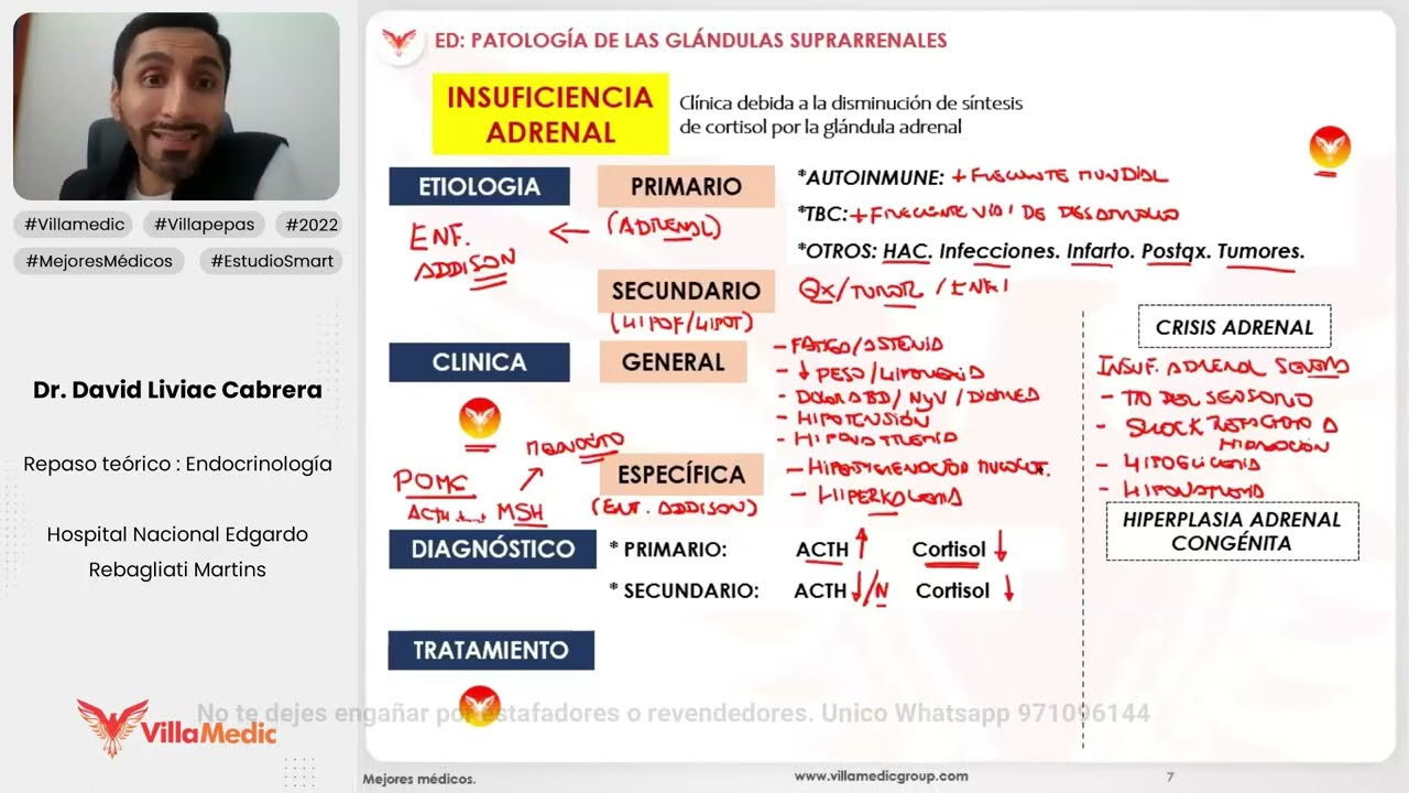 PATOLOGÍA DE LAS GLÁNDULAS SUPRARRENALES PARTE 2 - ENDOCRINOLOGÍA - VILLAMEDIC