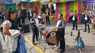 Banda Felipe Arpero - El Toro Mambo - En Coatepec 2025 Banda Felipe Arpero - El Toro Mambo - En Coatepec 2025
