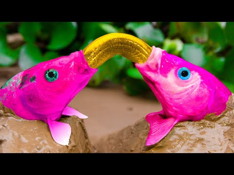 Couple Of Carp Eat Eel, Catfish, Green Carp Lay Eggs - Primitive Cooking - Stop Motion Asmr Coco