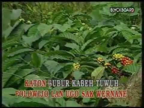 Evie Tamala- Konco Tani