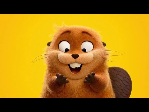 קופצים בראש