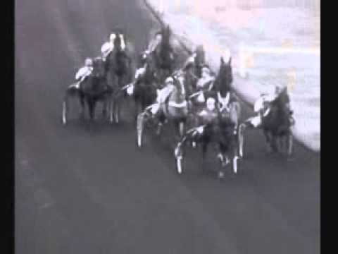 Prix d'Amerique 1972 -Tidalium Pelo