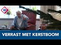 Eenzame Ton (87) wordt verrast met een kerstboom - OMROEP WEST