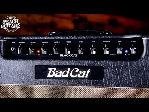 Bad Cat Black Cat 1x12 Extension Speaker Cabinet image 2