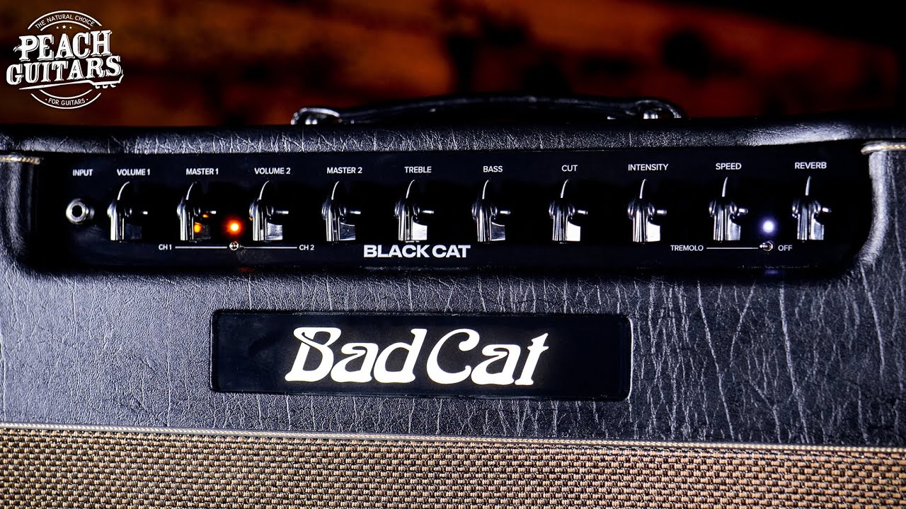 Inget snack...bara toner | Bad Cat "Black Cat"