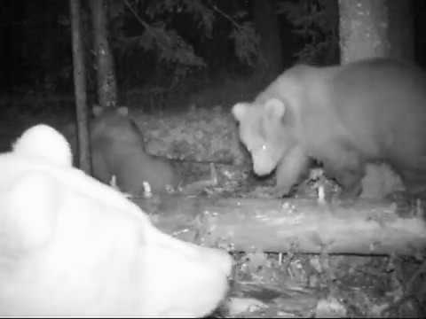 Hunterszone - kanalen för dig som gillar jakt och friluftsliv!