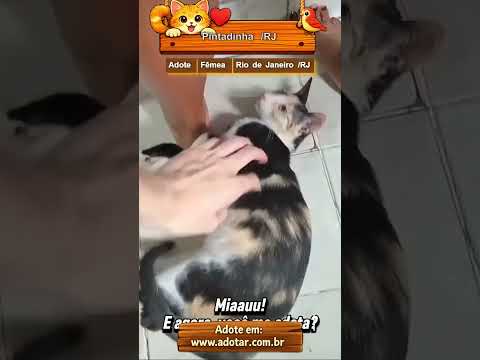 Vídeo de Pintadinha