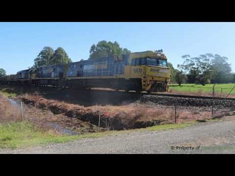 Train bonus 7MB4 Exeter to Mount Murray