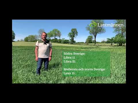 Från frö till foderbord 4 - rådgivarens bästa tips för vallsådd