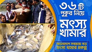 ৫০ একর জমির উপর ৩৬টি পুকুর নিয়ে দেশের সবচেয়ে বড় মৎস্য খামার | মৎস্য খামার |মাছ চাষ
