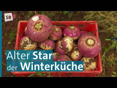 , title : 'Sauerrüben: Elsässisches Wintergemüse zum Fermentieren | Genuss mit Zukunft'