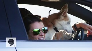 Danica Patrick: Behind The Scenes at Talladega (Part 2)