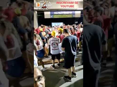 FESTA GARANTIDA E COM A BATERIA FLA MANGUAÇA ENGENHÃO BRASILEIRÃO 2022 BOTAFOGO 0 X 1 FLAMENGO.