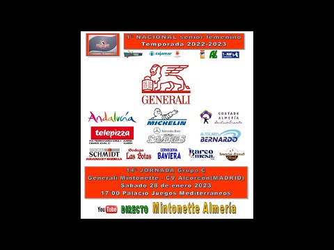 1DF, JORNADA 14. GENERALI MINTONETTE ALMERIA - CUV ALCORCON