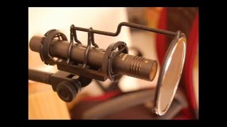 The Brilliant Green そのスピードで Cover Superlux S241 Test