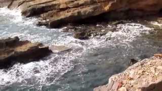 Desert Rose -  Sting