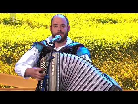 Ansambel Akordi - Dokler bo meh zdržal