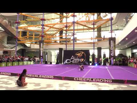 2 SHAIRA HERNANDEZ PRIDE N1 TINY - ALL CHEER UP