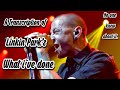 The Hidden Meaning Of The Song What I Ve Done Linkin Park