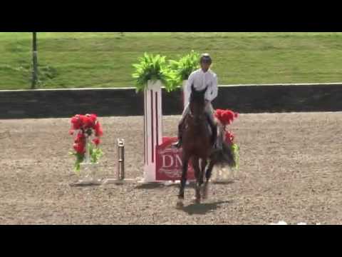 Video of Casquino ridden by Ed Copeland from ShowNet!