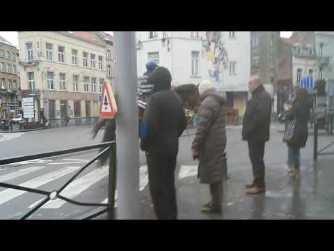 Moise rahela Elise mihai gaudi ovidou 12345678910111213141516171819202122242526272829303132333435363