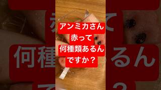 安い物を買うと損をするのは本当なのか？実験❣️ #shorts
