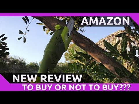 Sun Joe swj800e 8- inch 6.5 amp Telescoping Electric Pole Chain Saw Review 2020