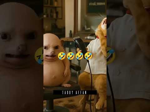 Funny Haircut #Cat Barber #Hedgehog Glow Up