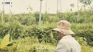 Download lagu DINGIN, GELAS RETAK - REVINA ALVIRA | DANGDUT KLASIK - GASENTRA TERBARU mp3