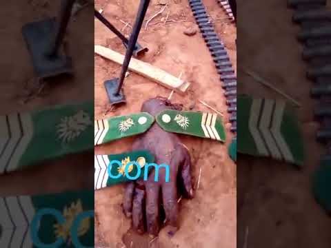 NO PITY LIVE AMBAZONIA  FREEDOM FIGHTERS VS Cameroon MILITARY LIVE ACTION  2