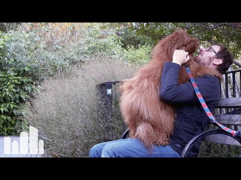 Etiquette: How To Befriend Dogs On The NYC Streets