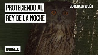 Thumbnail del capítulo