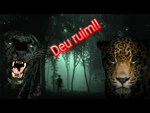 We went looking for the legend dry body, and see the shit he gave (REAL SCENES) SUPERNATURAL HUNTERS