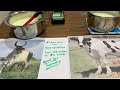 Milk Milk Milk The Untold Story Of Milk Desi Milk Vs HF Cow Milk