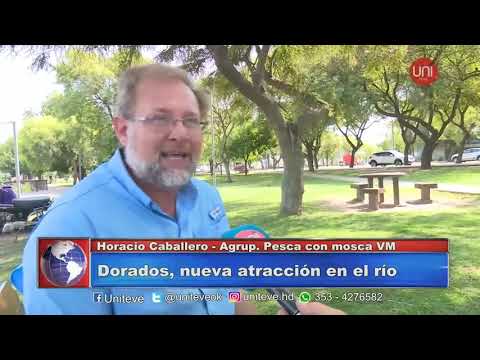 Villa María. Río: ¿Dorados autóctonos?⠀