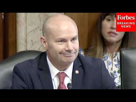 Protestor Shouting 'Affordable Energy Is Clean Energy' Interrupts Mike Lee During Nomination Hearing