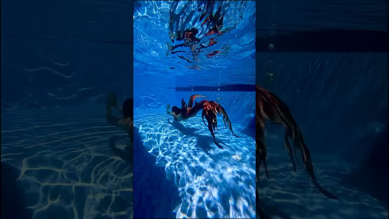 Promotional video thumbnail 1 for The Filipina Mermaid