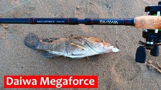 Удилище карповое daiwa megaforce big fish catfish mfbf26xxh