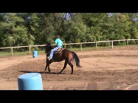 download lagu mp3 mp4 Hqh Tracking, download mp3 Hqh Tracking free download mp3, download mp3 Hqh Tracking