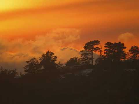 Kyrro - Poisonoise Music - 🇳🇱 #atmospheric #dubtechno #chillout