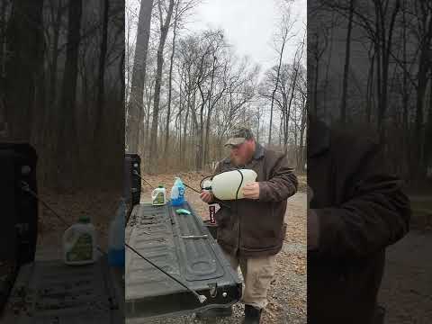 Spraying fruit trees with neem oil