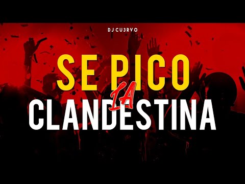 •🔥 SE PICO LA CLANDESTINA 5 🔥• | ALTA JODA | FIESTA 2021 | LO MEJOR | - DJ Cu3rvo
