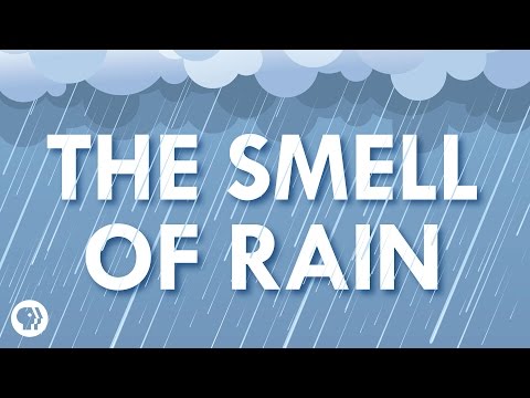 Where Does the Smell of Rain Come From? Video